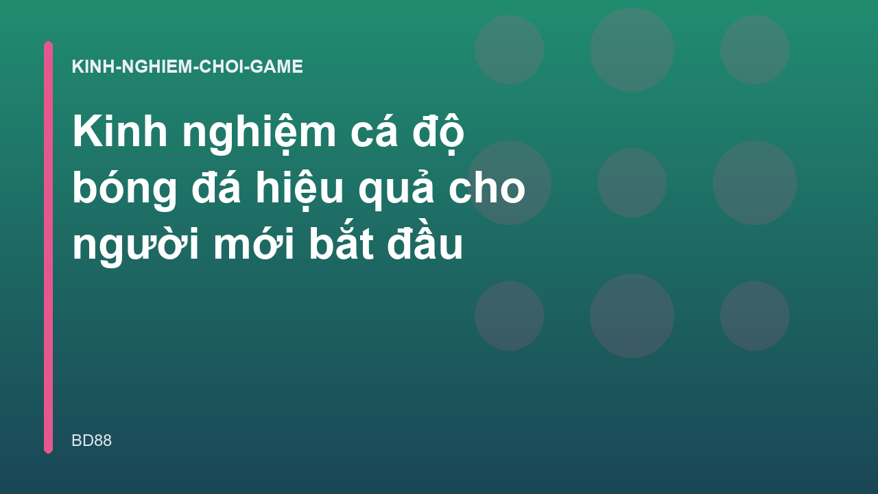 Kinh nghiệm cá độ bóng đá hiệu quả cho người mới bắt đầu